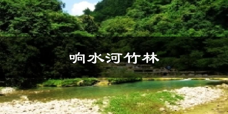 榆林响水河竹林天气预报未来一周