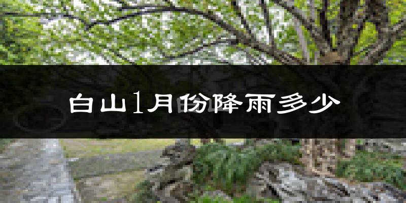 白山1月份降雨多少?