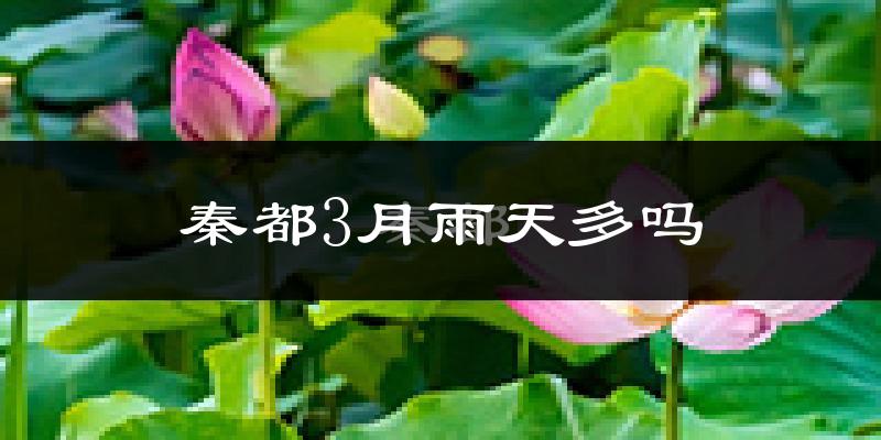 秦都3月雨天多吗?