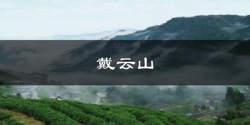 戴云山今日天气