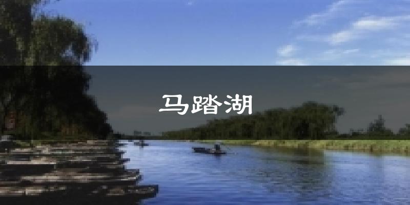 马踏湖天气预报十五天