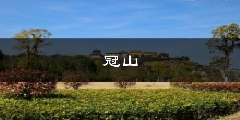 冠山天气预报十五天