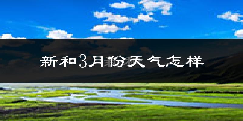 新和县3月份天气如何?冷吗?