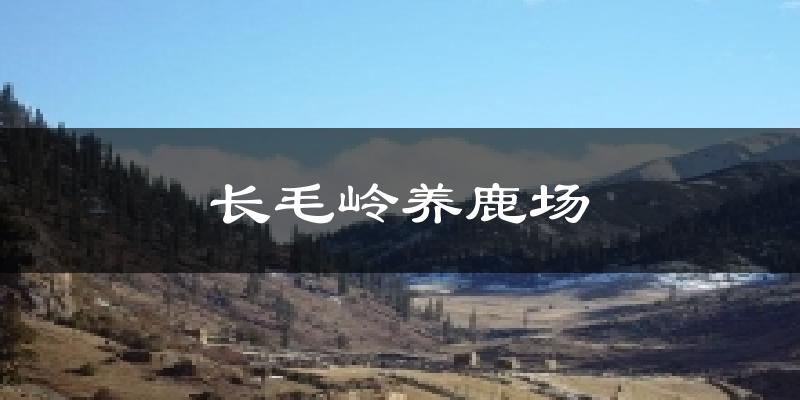 长毛岭养鹿场天气预报十五天