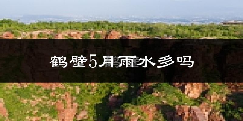 鹤壁5月雨水多吗?