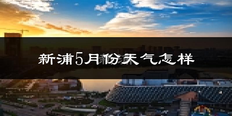 新浦5月份天气怎样?新浦五月冷不冷?
