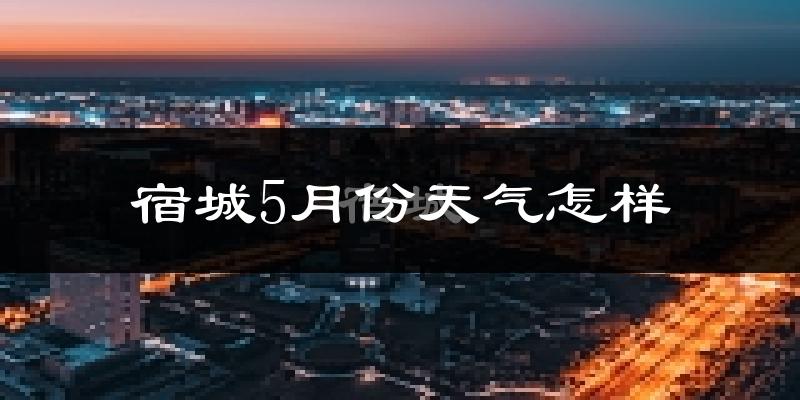 宿城5月份天气怎样?宿城五月冷吗?