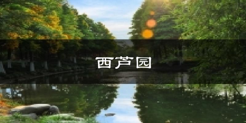西芦园天气预报十五天