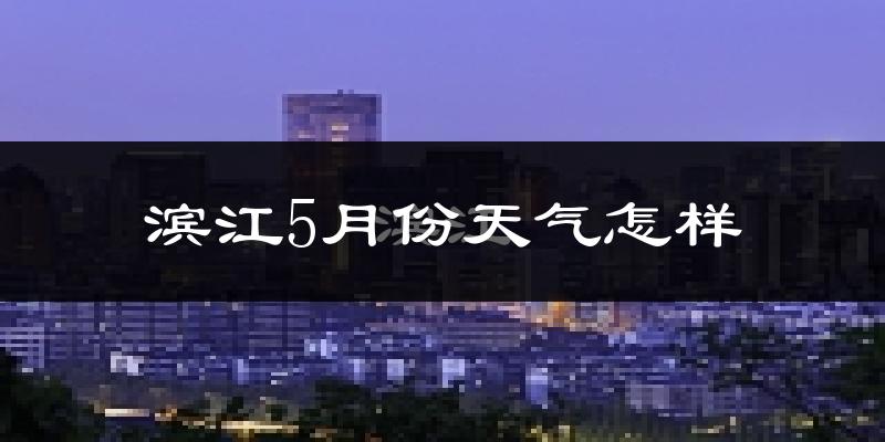 滨江5月份天气怎样?滨江五月冷不冷?