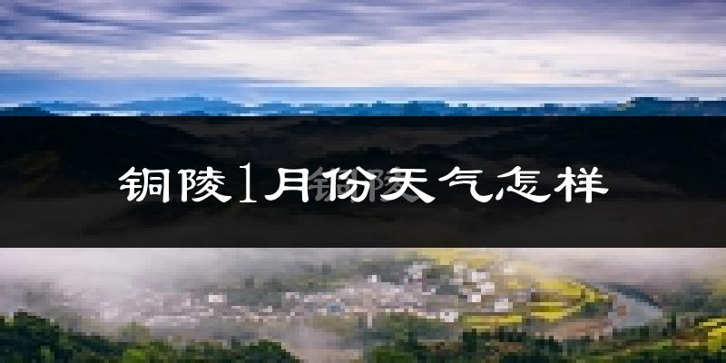 铜陵市1月份天气如何?很冷吗?