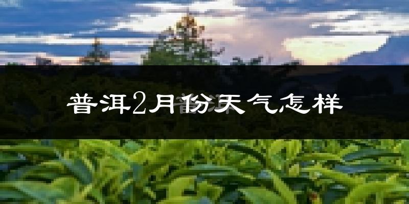 普洱市2月份天气如何?冷吗?